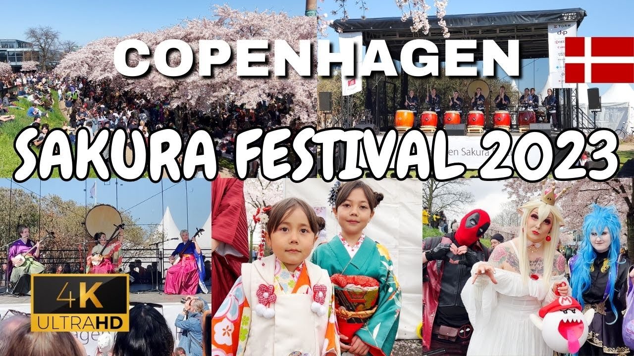 Copenhagen Sakura Festival 2023 | Cherry Blossoms | Langelinie Park