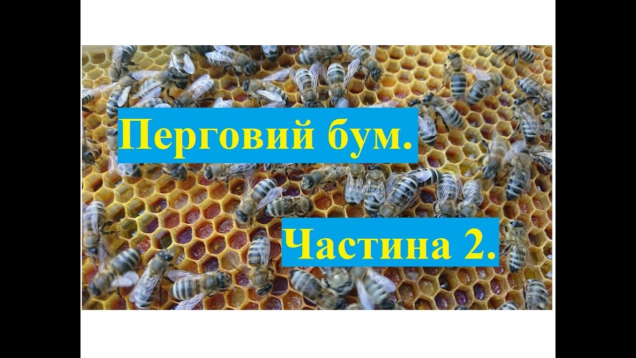 Перговий бум.  Мій досвід.  Частина 2.