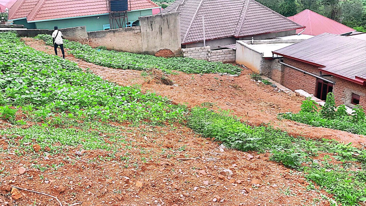 Kigali. ibibanza bishaka 1M. byujuje ubuso kdi bikora Kumuhanda. Kicukiro. tel 0785262843/0788261887