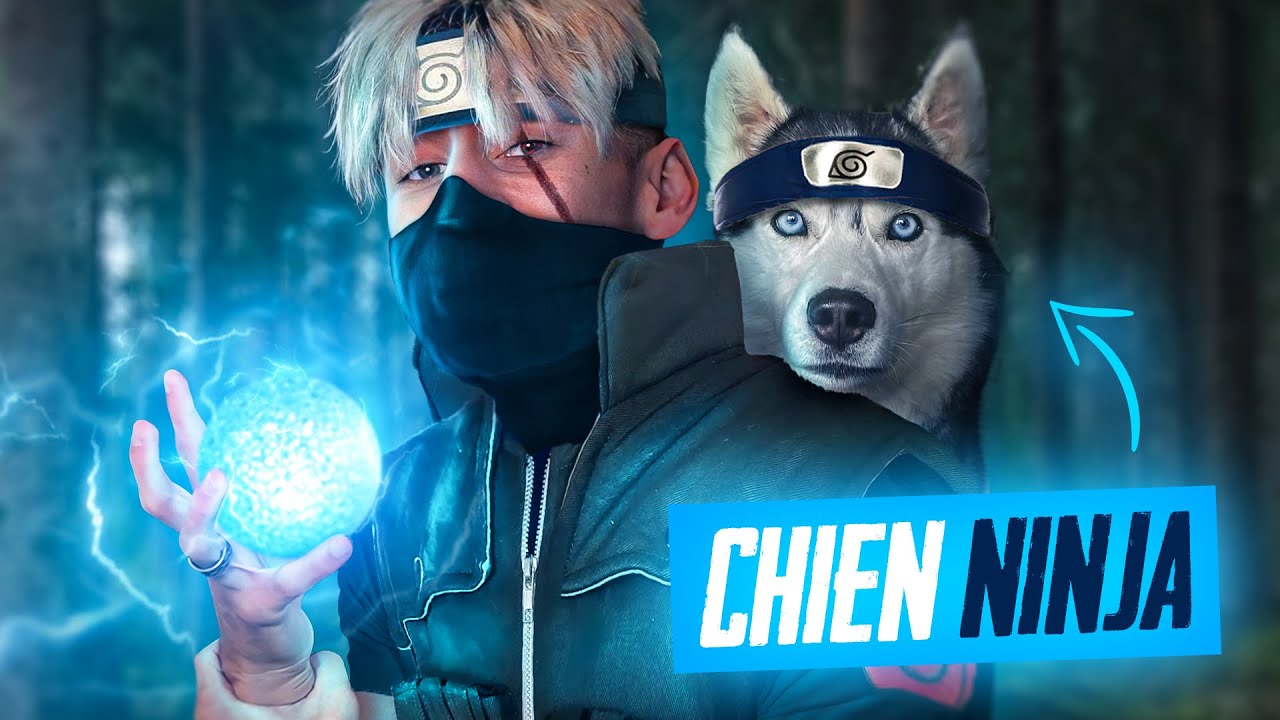 MON HUSKY fait un PARCOURS SPÉCIAL NINJA NARUTO ! 🐶​☄️​