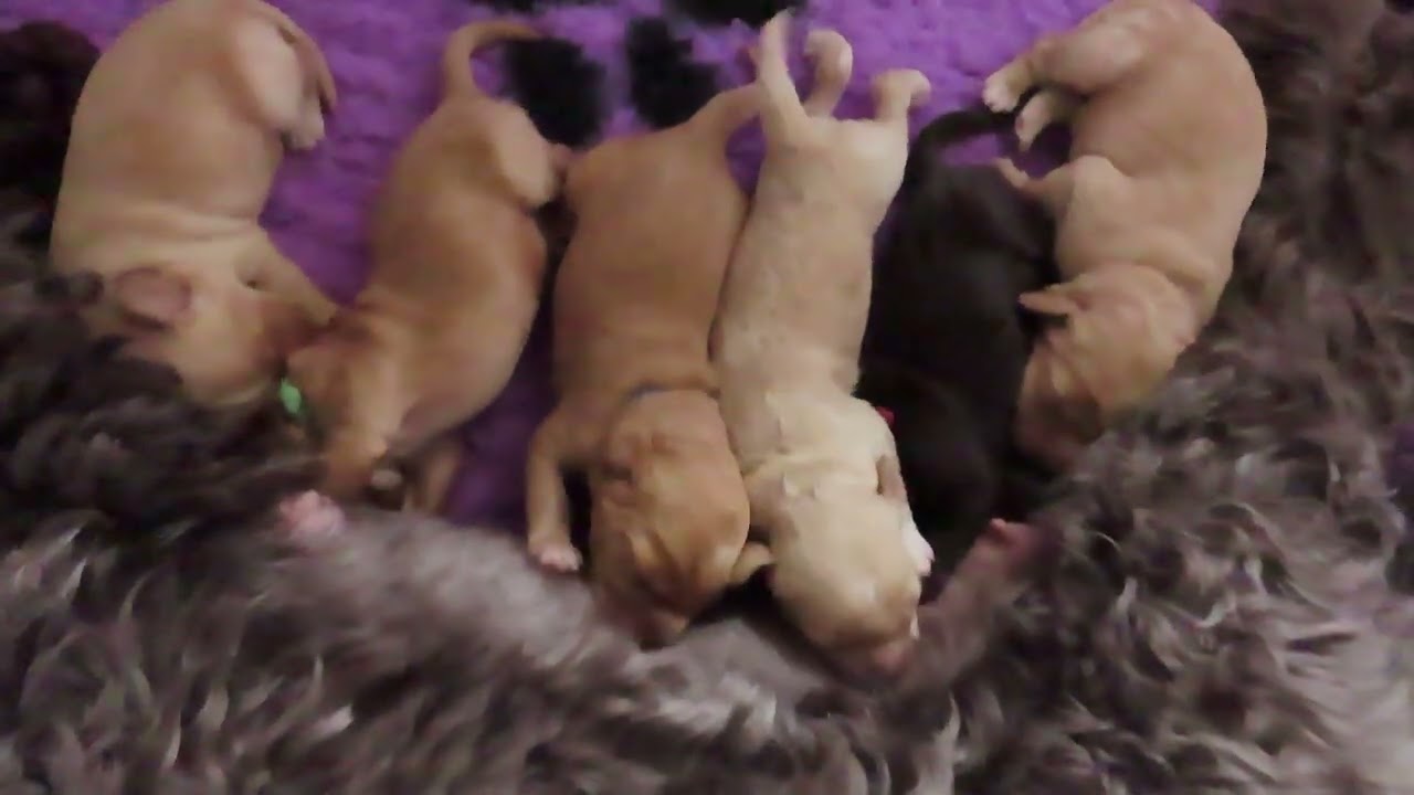 1 weekje