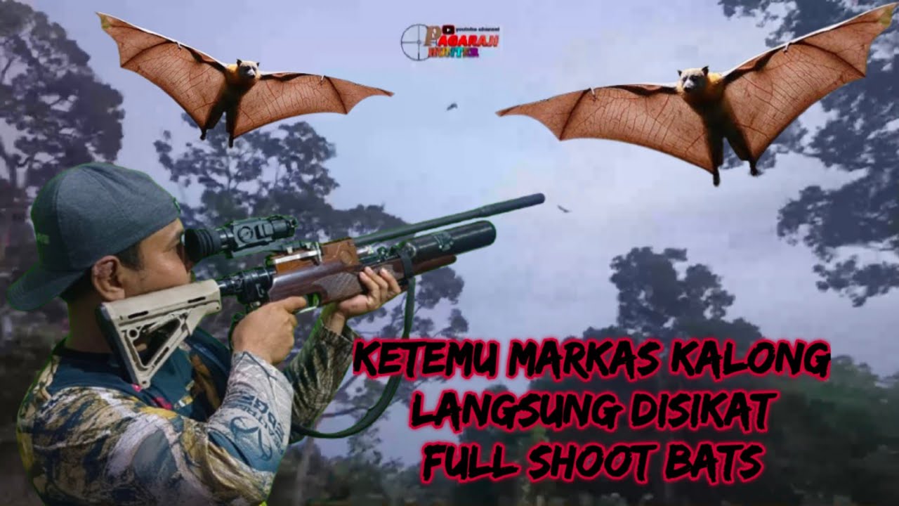 PART 88 ‼️ KETEMU MARKAS KALONG AKHIR NYA BERBURU FULL POIN KALONG