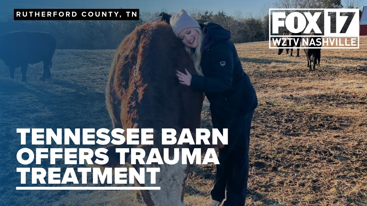 Hug a cow! Animal therapy at Rutherford County barn offers healing
