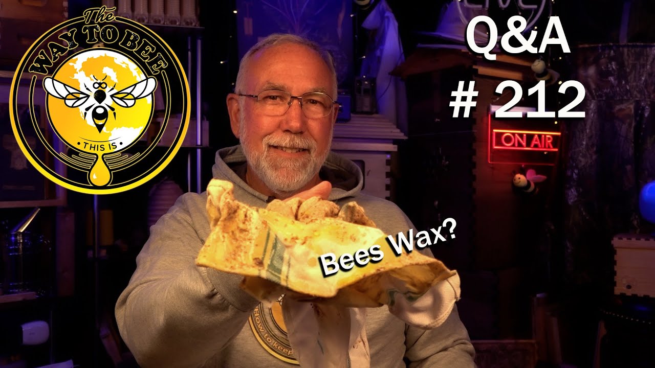 Backyard Beekeeping Questions and Answers Episode 212