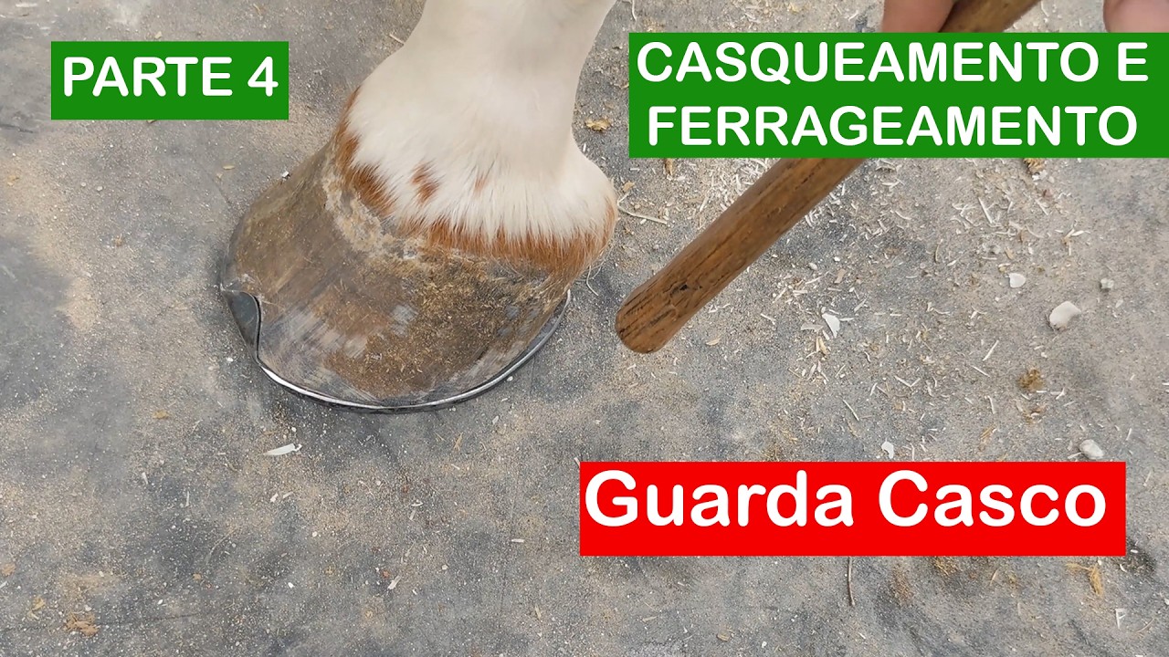 GUARDA CASCO: Aprenda o jeito certo de fazer!