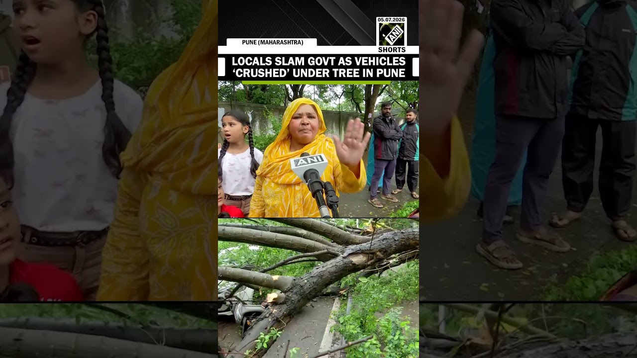 Huge Tree Collapse in Pune's Wakdewadi damages vehicles; locals rush to rescue