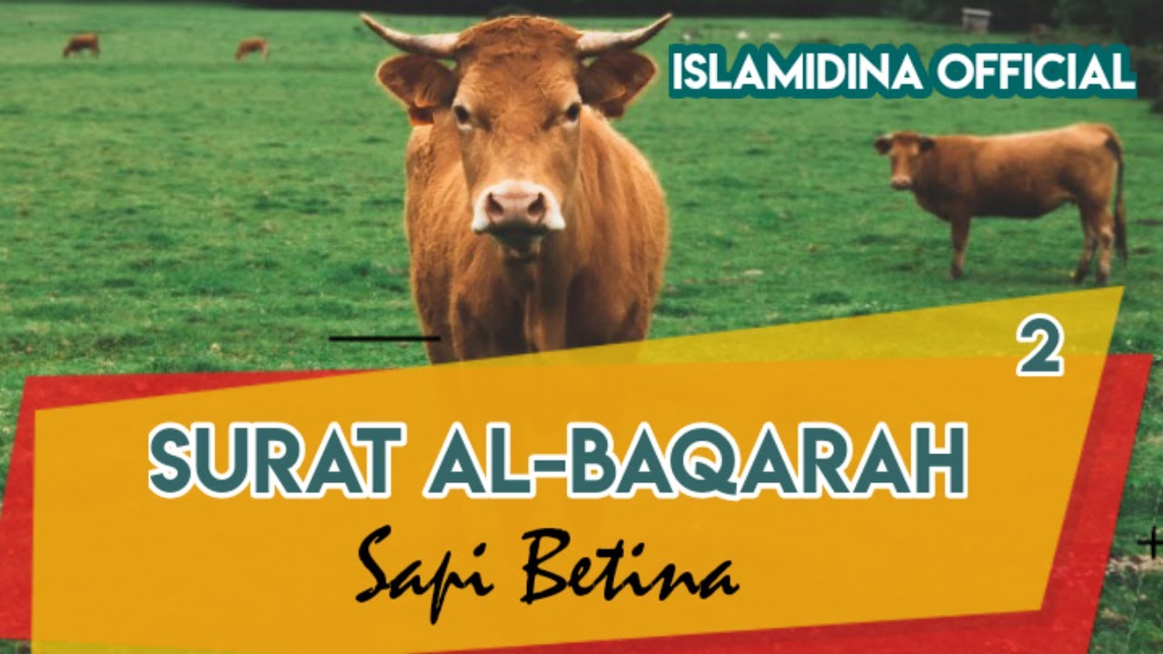 Surat Al-Baqarah - Syaikh Abdul Aziz Az-Zahrani | Murotal Penyejuk Hati