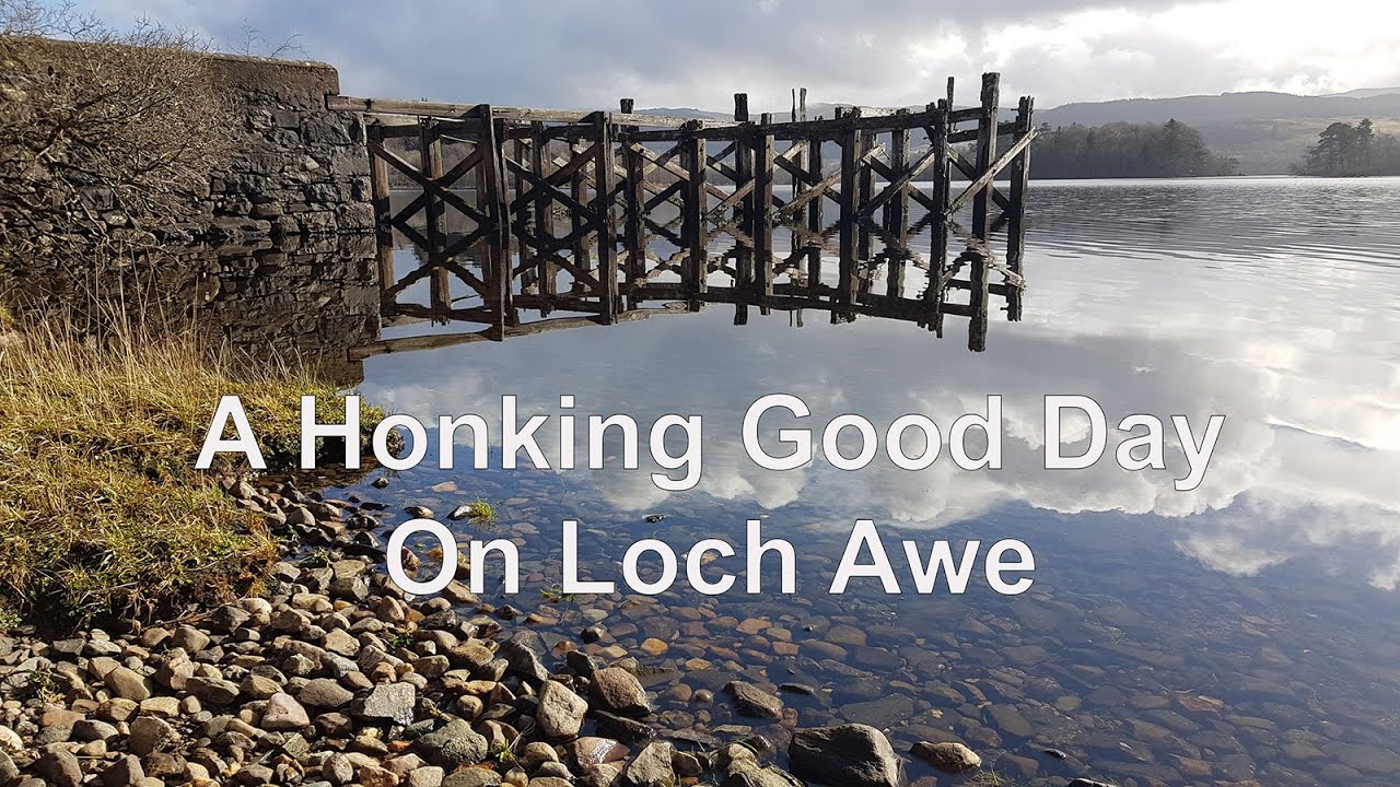 A Honking Good Day on Loch Awe