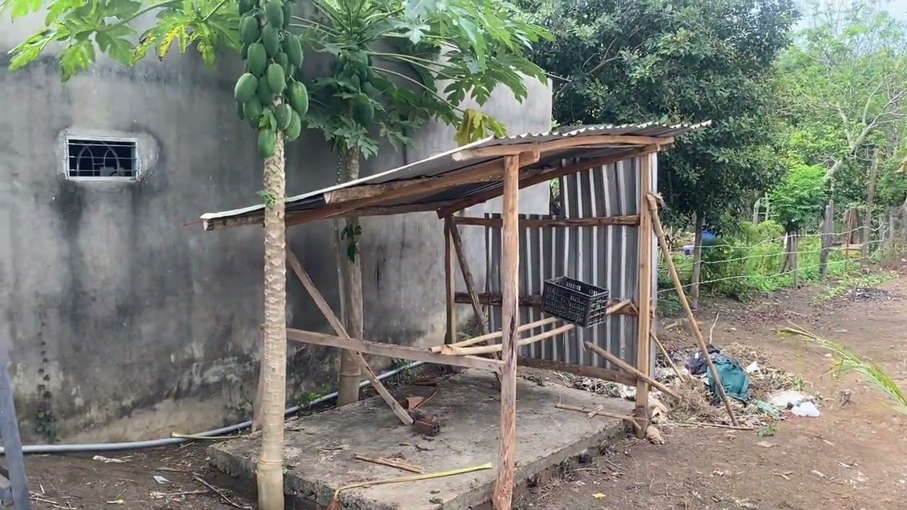 Bán nhà đất vườn cây ăn trái mặt nhựa 14,5m dài 66m nở hậu 16m tổng df 1 sào giá 980 tr lh0396429904