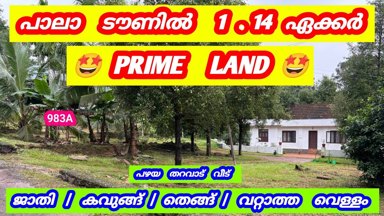 പാലാ TOWN 1.14 ഏക്കർ PRIME LAND 😍 ROYAL AREA | 983A 