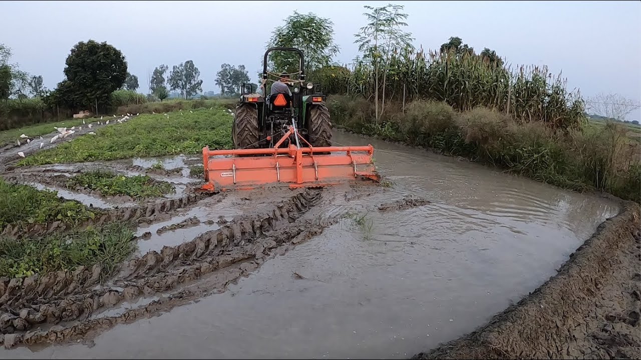 Maschio rotavator performance | Oryza | Puddling Rotavator performance | मास्कीओ रोटावेटर धान के लिए