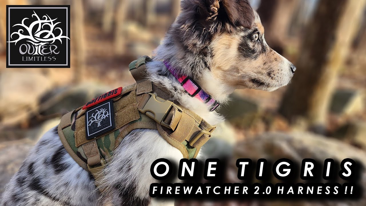 One Tigris Fire Watcher 2.0 Harness - Great Features...Great Quality!!