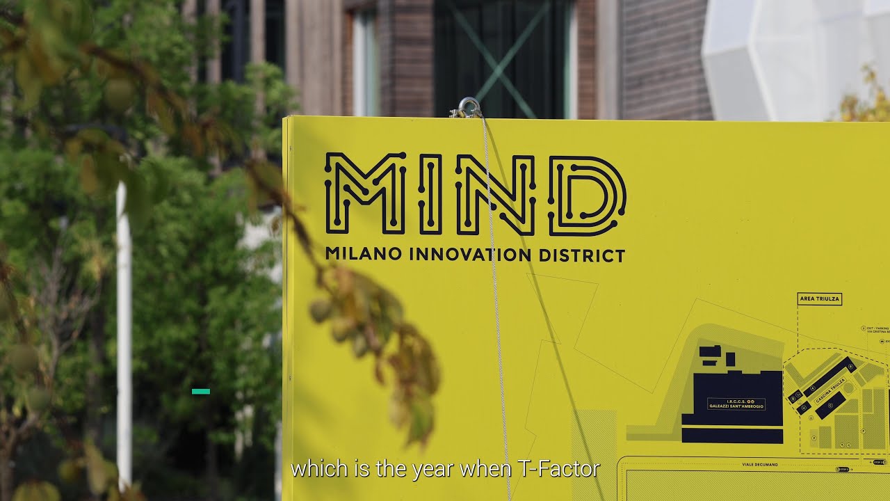 T-Factor | Meanwhile uses at MIND