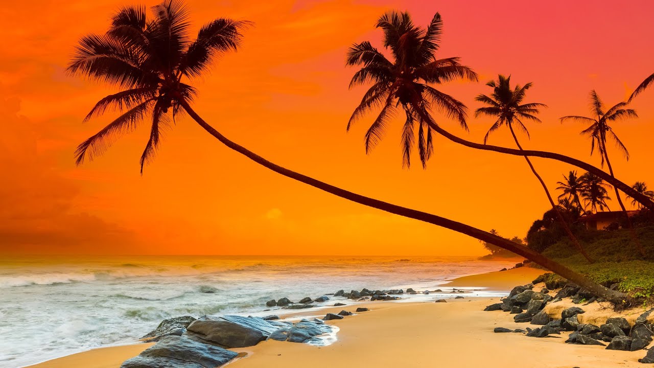 Bávaro Beach Sunset Paradise