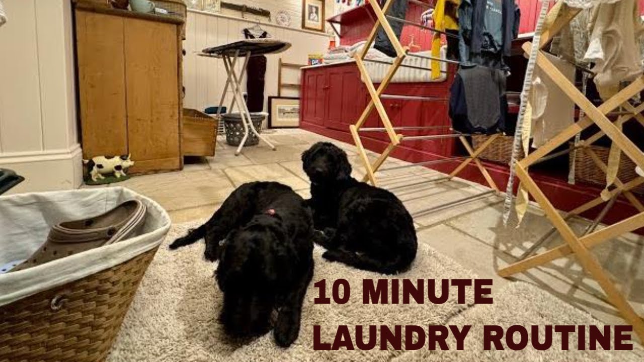 10 Minute Laundry Routine-Clean With Kate #laundryroutine #laundrymotivation #laundry #laundryroom