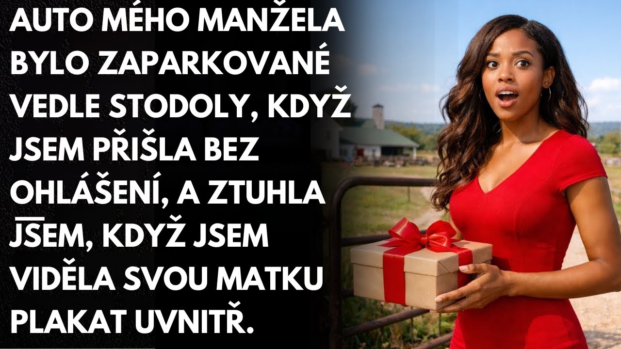 &Scaron;la jsem překvapit svou matku, ale když jsem uviděla auto sv&eacute;ho manžela a sly&scaron;ela ji plakat, ztuhla