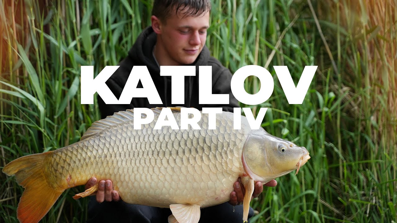 CARP CHAMPIONSHIP - Karma, Karpfen und krumme Ruten - KATLOV PART IV