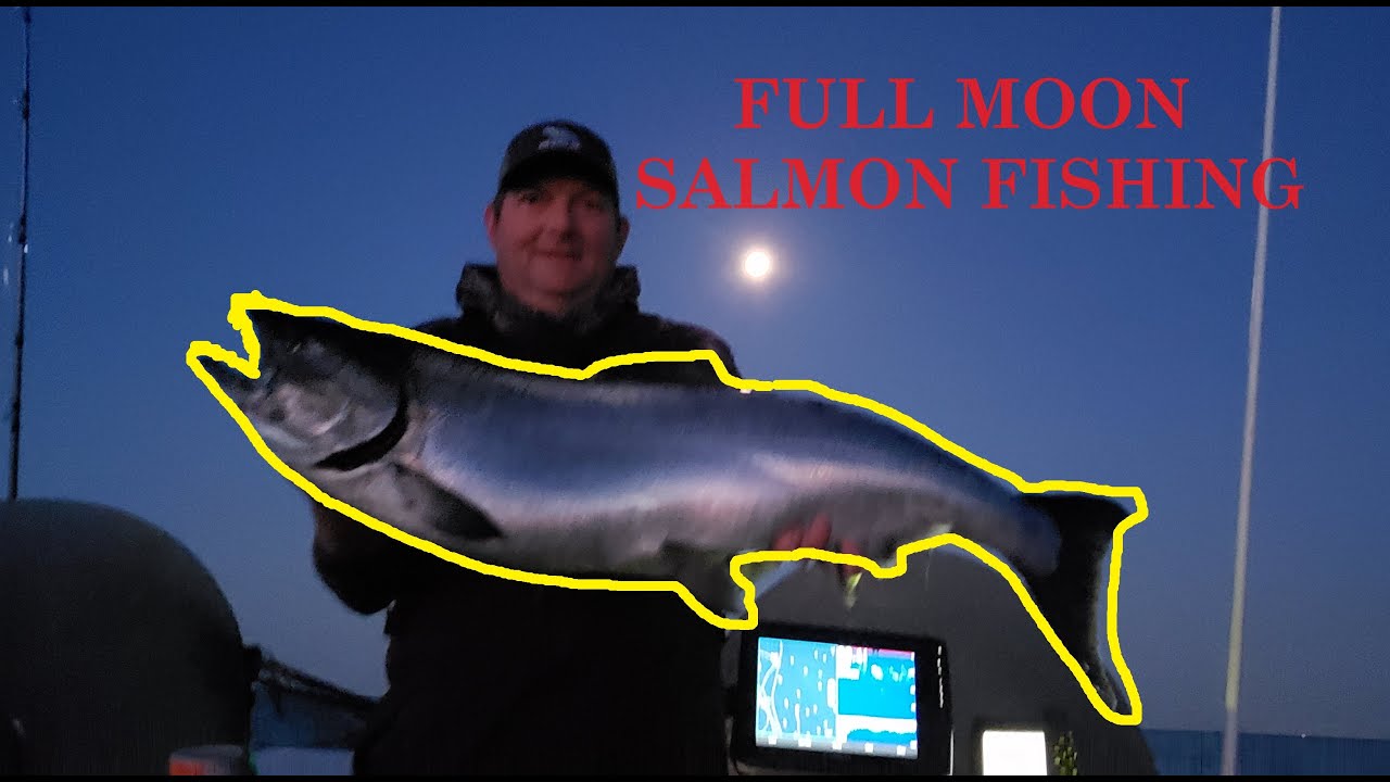 NFN Full Moon Salmon Fishing (fillet & grill) 2024 DIY Clean & Cook