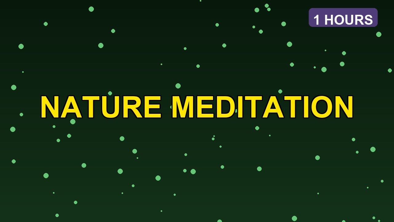 Nature Meditation Music | Forest & Flute | 1 HOURS | Deep Peace