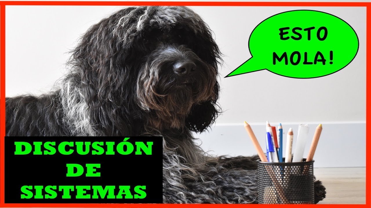 DSE#01 Discusi&oacute;n de sistemas de ecuaciones con par&aacute;metros - M&eacute;todo Rouch&eacute; - Bachillerato CCSS