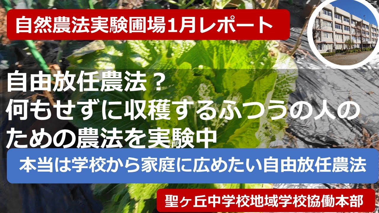 自由放任農法?　何もせずに収穫するふつうの人のための農法を実験中　自然農法27（聖ヶ丘中学校地域学校協働本部の活動報告）