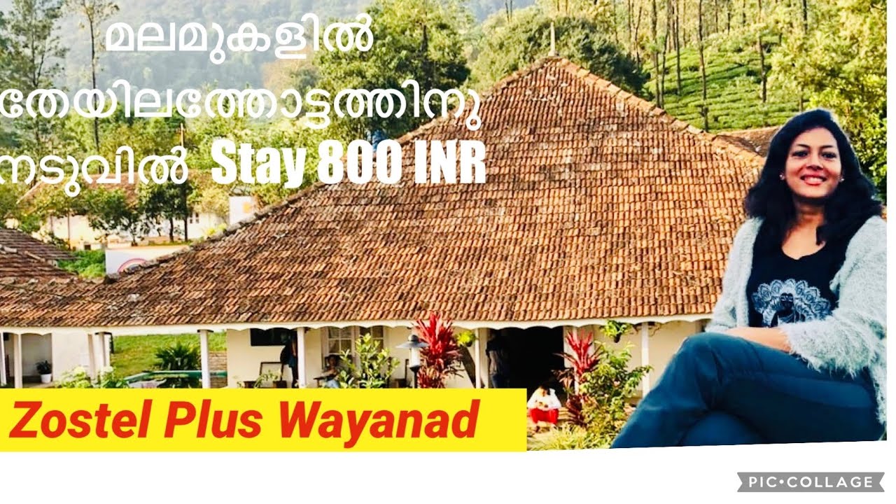 Zostel Wayanad/മലമുകളിൽ തേയിലത്തോട്ടത്തിനു നടുവിൽ  Stay at  800 INR