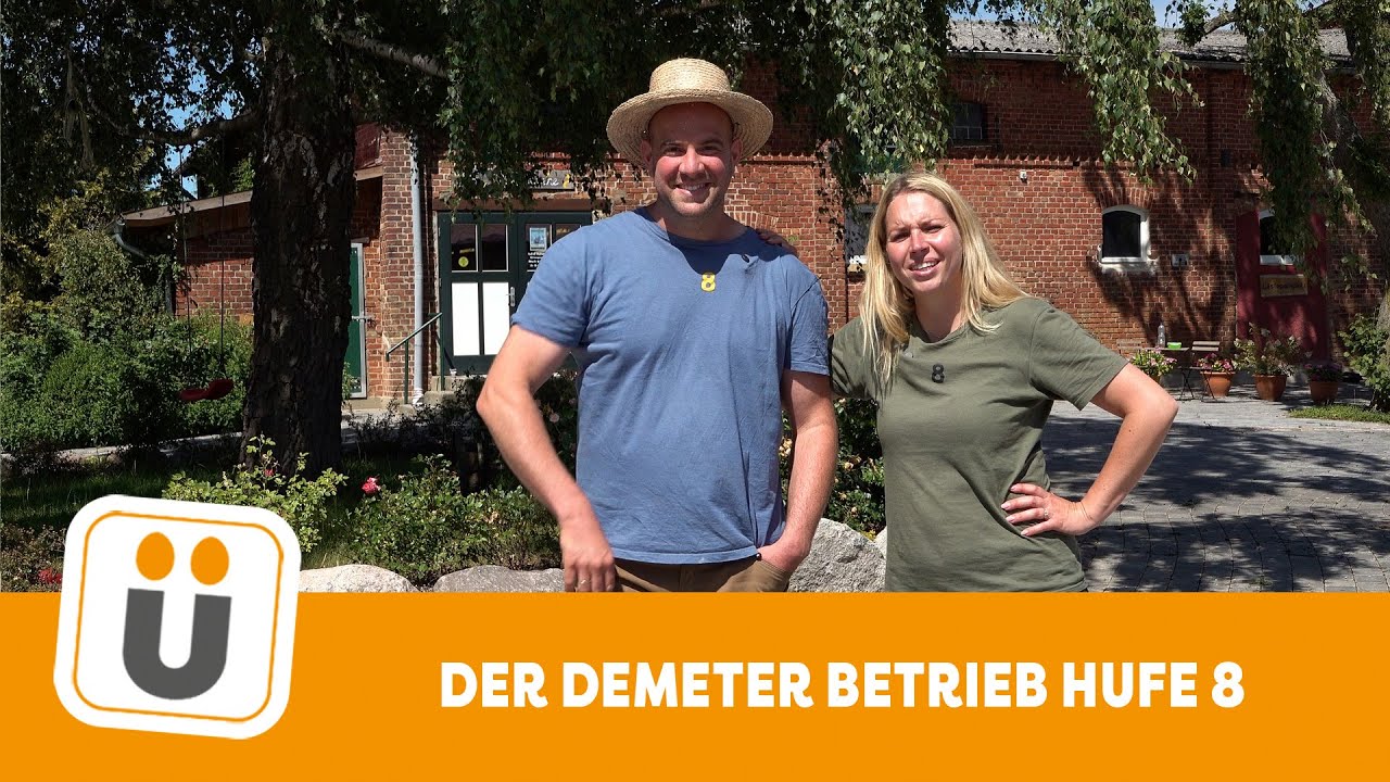 Mobilstallhaltung beim Demeter Betrieb Hufe 8