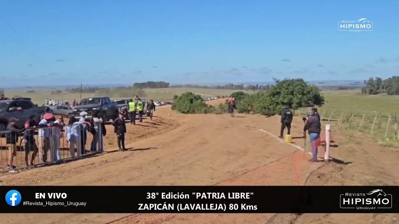 38a Edición 