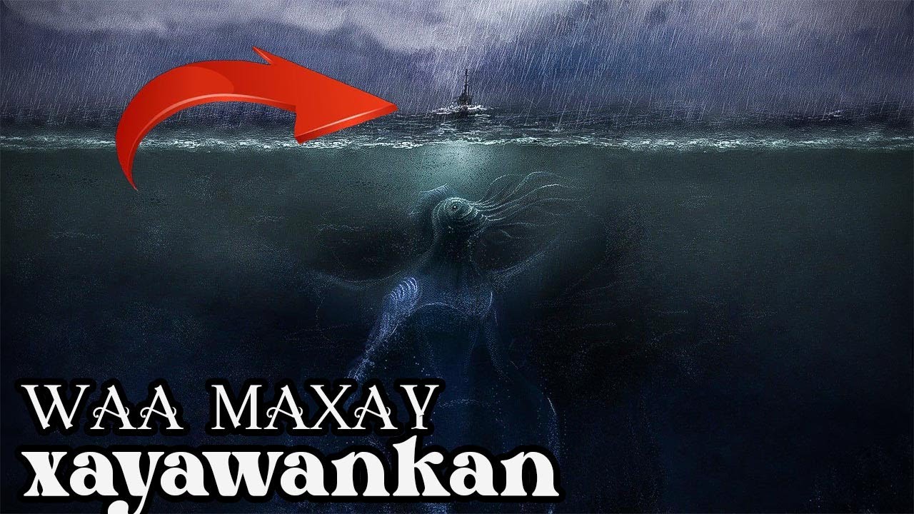 Kalumaysato ayaa arkay makhluuqan qiso naxdin leh