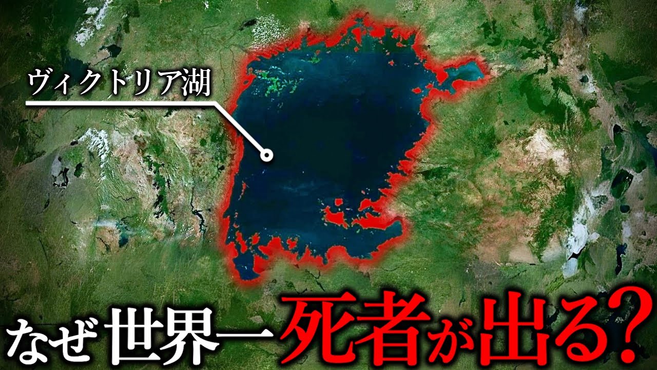 なぜヴィクトリア湖は死んでも泳いではいけない湖なのか？【ゆっくり解説 地理・地政学】