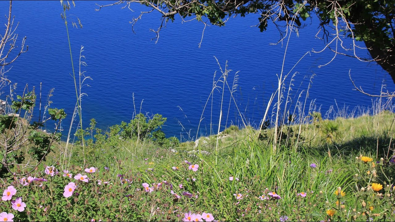 Naturpark Lo Zingaro - an einer der schönsten Küsten von Sizilien