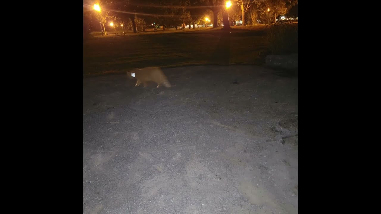 you were brought here