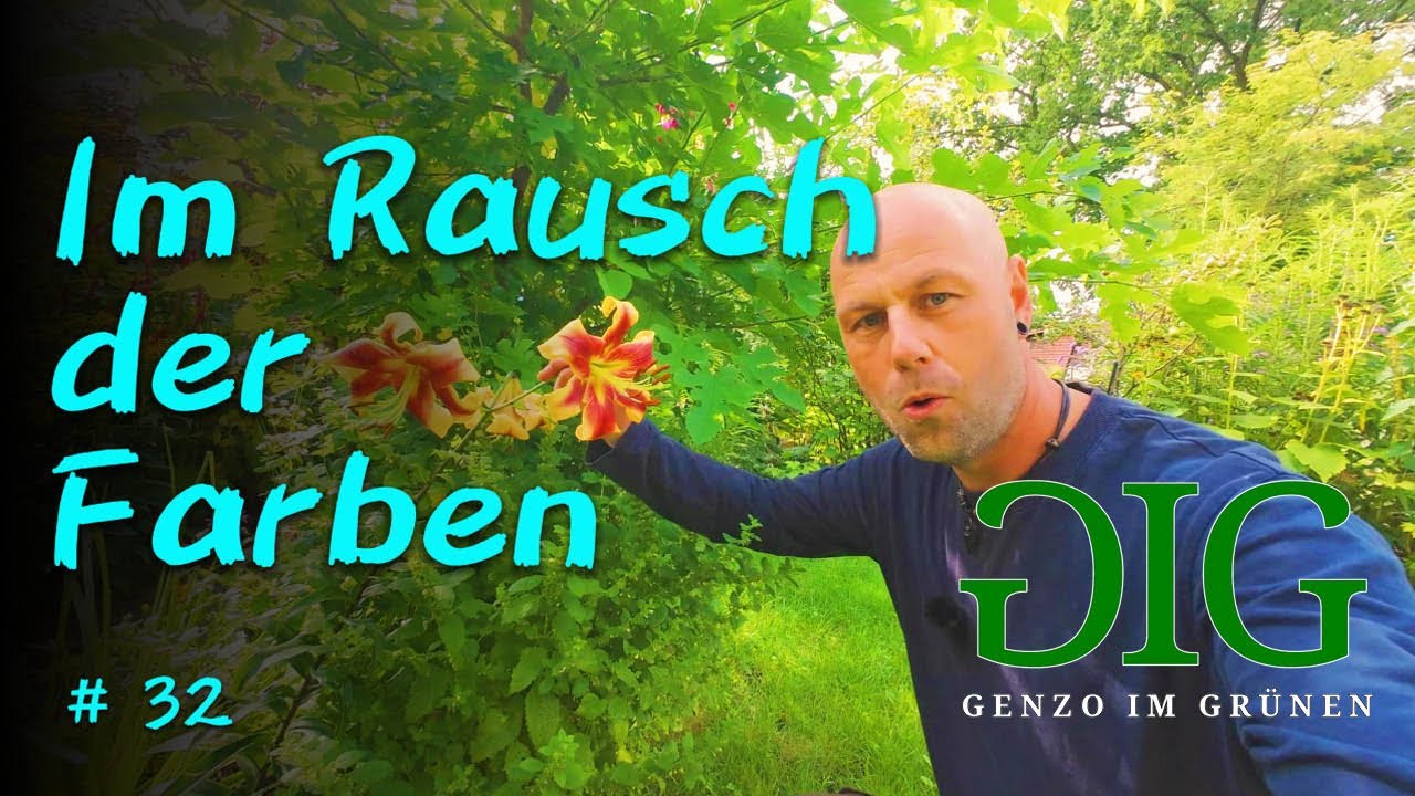 Mein Garten explodiert in Farben – Schau dir diese Blütenpracht an!