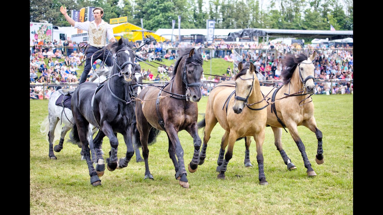 Atkinson Action Horses