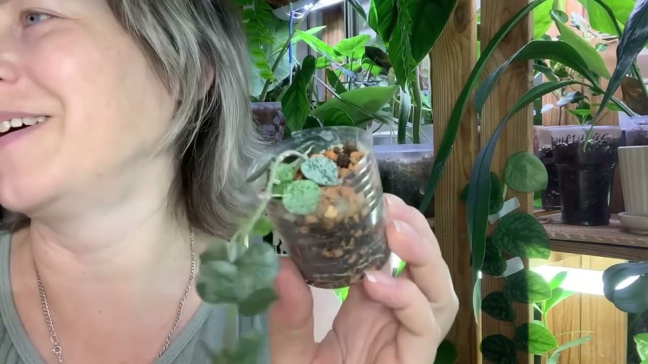 Мои новинки 2025 года 😊💞
