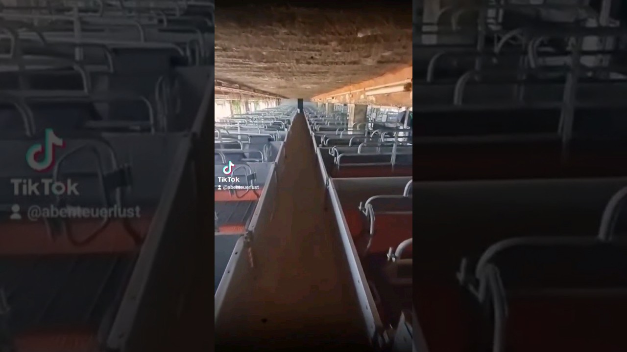 Lost Place #lostplace #urbex #urbexelite  der Toten Tiere Schweinehochhaus 🐖 🐖 🐖