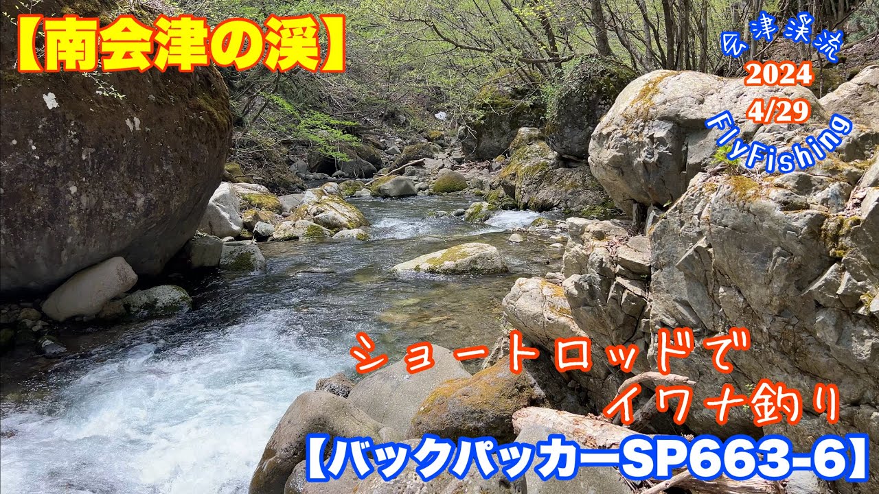 2024-4/29会津渓流FlyFishing【南会津の渓】ショートロッドでイワナ釣り
