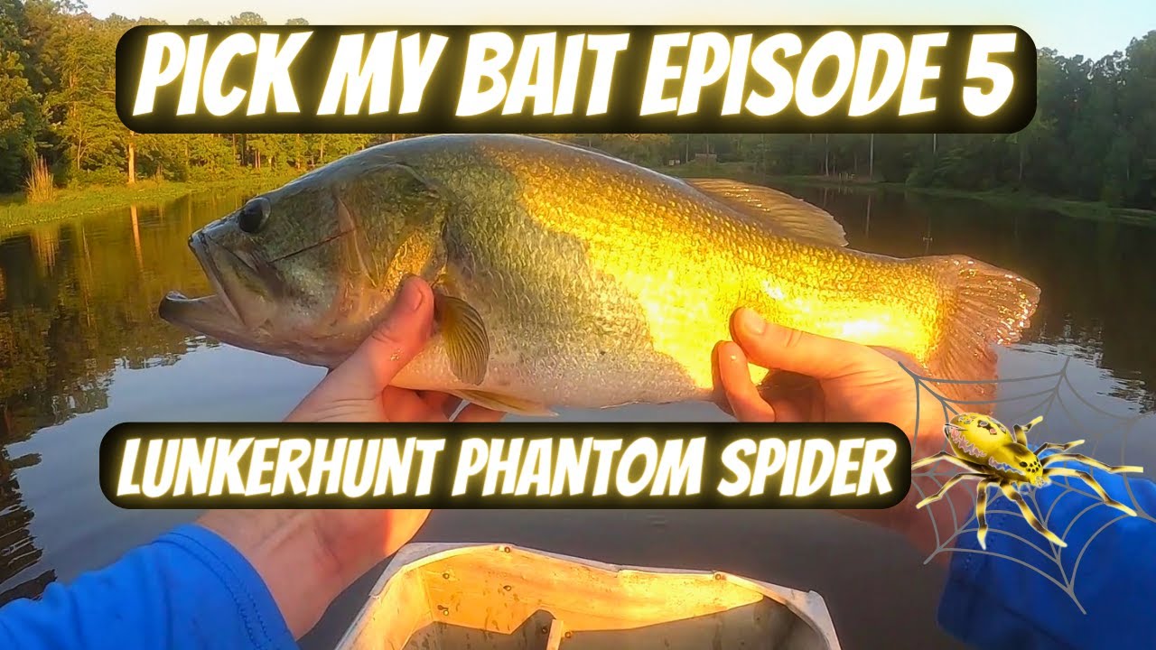 Pick My Bait Episode 5: Lunkerhunt Phantom Spider
