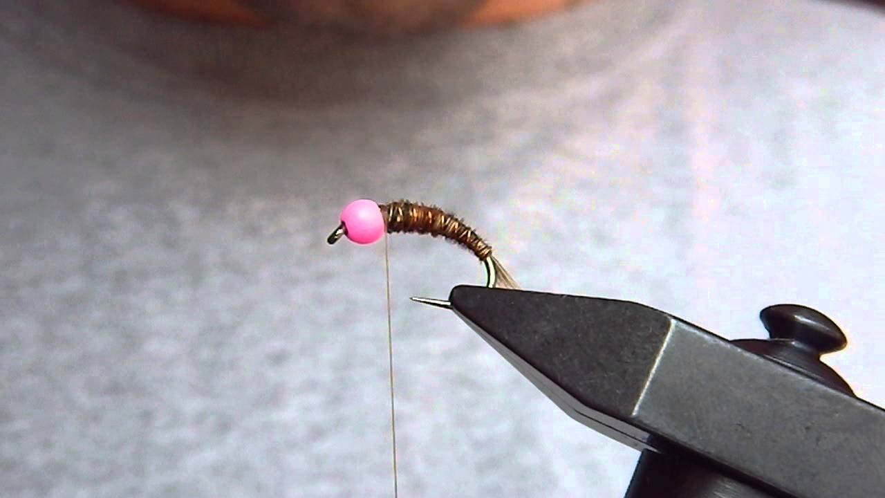 polish variant nymph