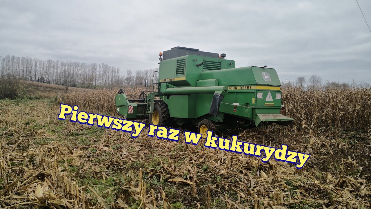 #396 Koszenie kukurydzy zwykłym hederem - da się, ale nie polecam