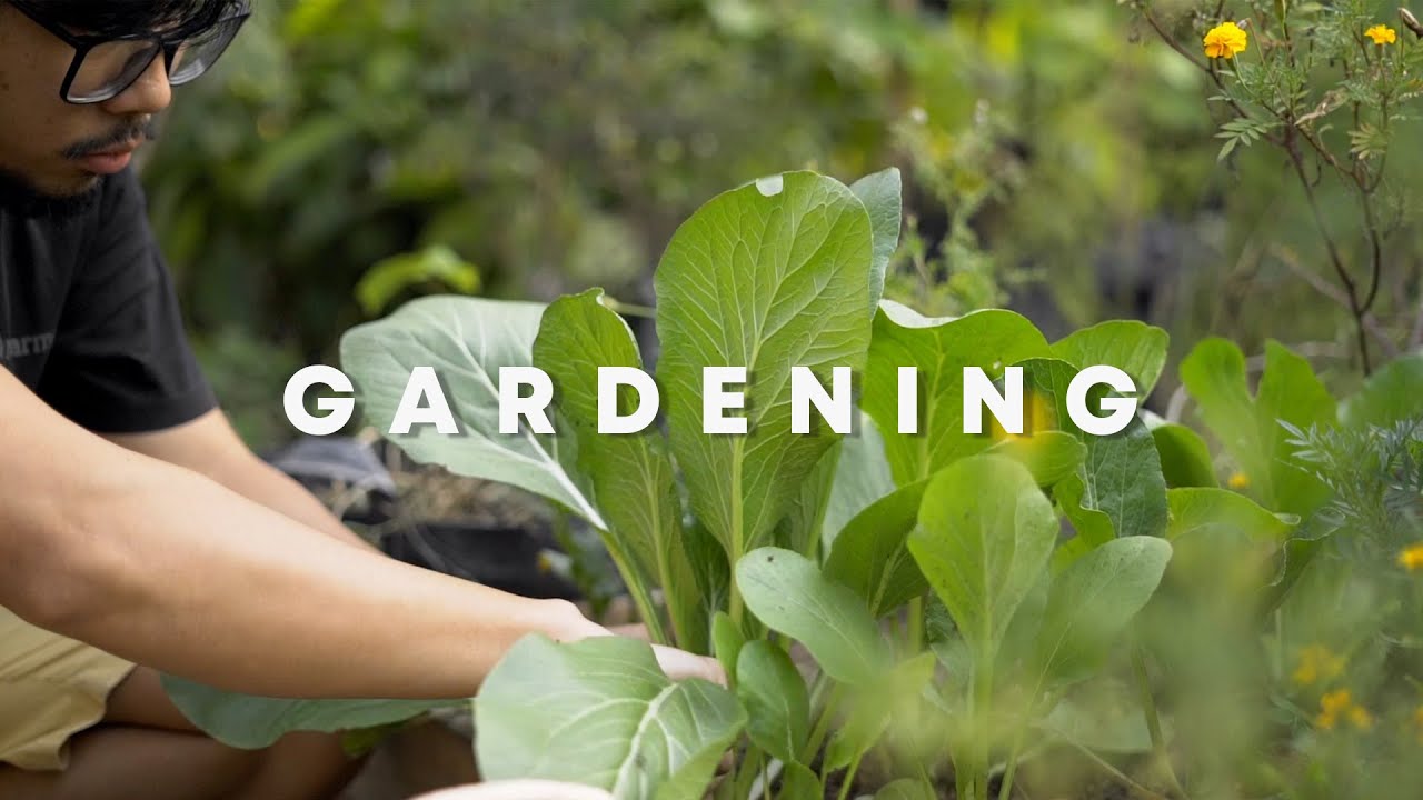 Berkebun (Gardening)