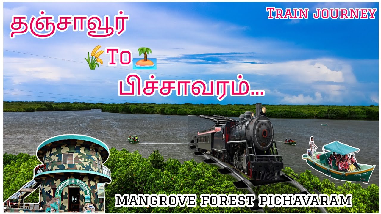 தஞ்சாவூர் To சிதம்பரம் இரயில் பயணம் | பிச்சாவரம் மாங்குரோவ் | Thanjavur to chidambaram train journey