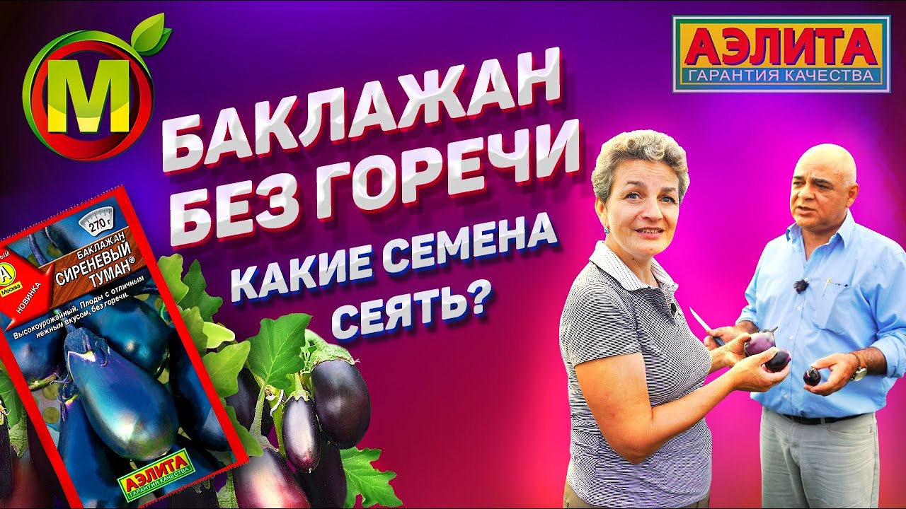 БАКЛАЖАНЫ БЕЗ ГОРЕЧИ – Семена Баклажана Сиреневый туман