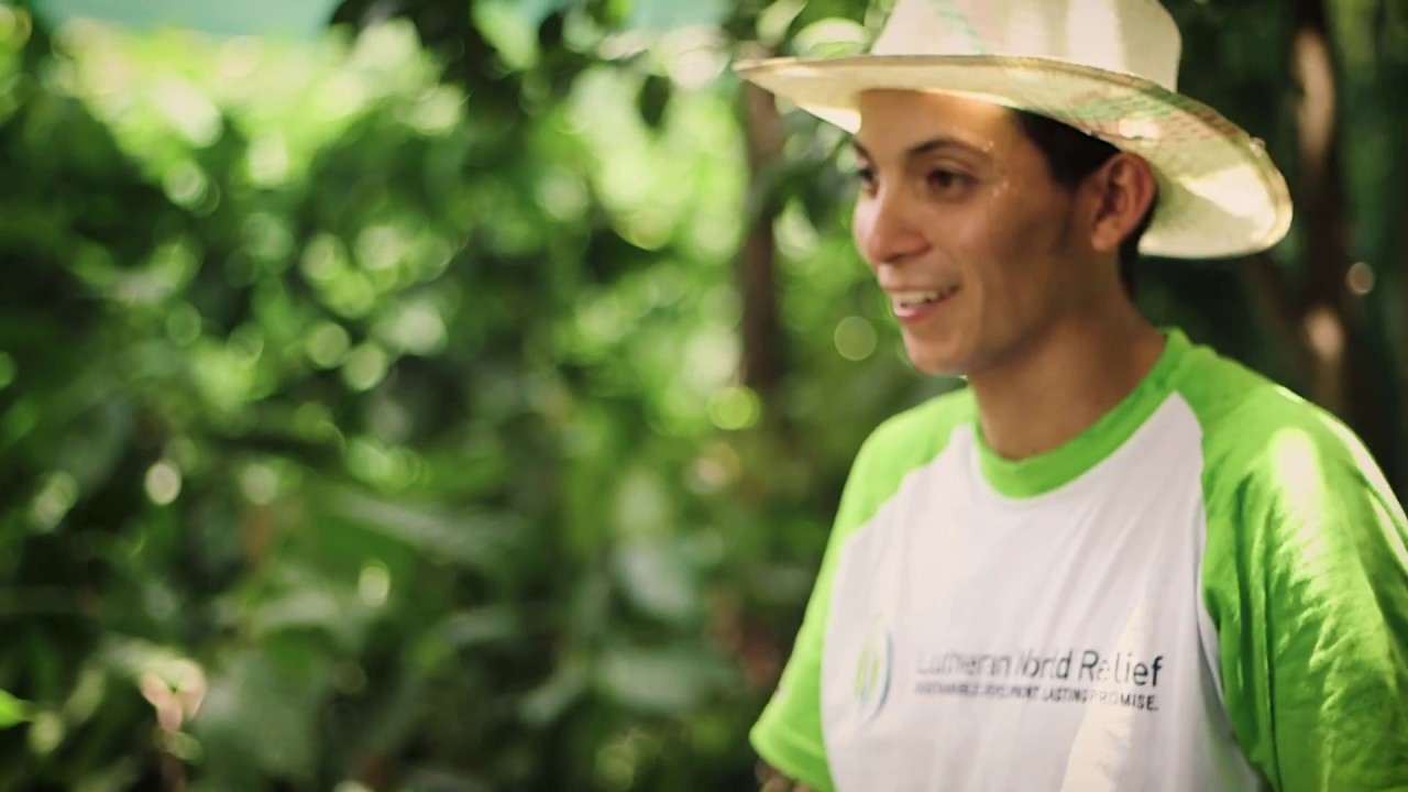 Video sobre técnicas de injertación de Cacao