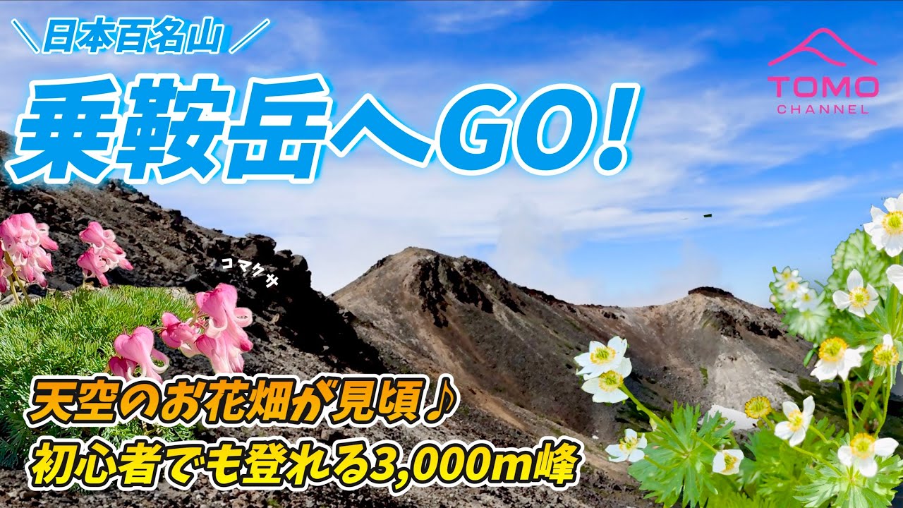 乗鞍岳へGO！｜今が見頃！天空のお花畑と手軽に登れる3,000m峰で絶景ハイキング　撮影日：2025年7月中旬