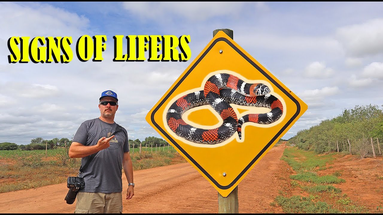 Finding a Dream Snake in Paraguay