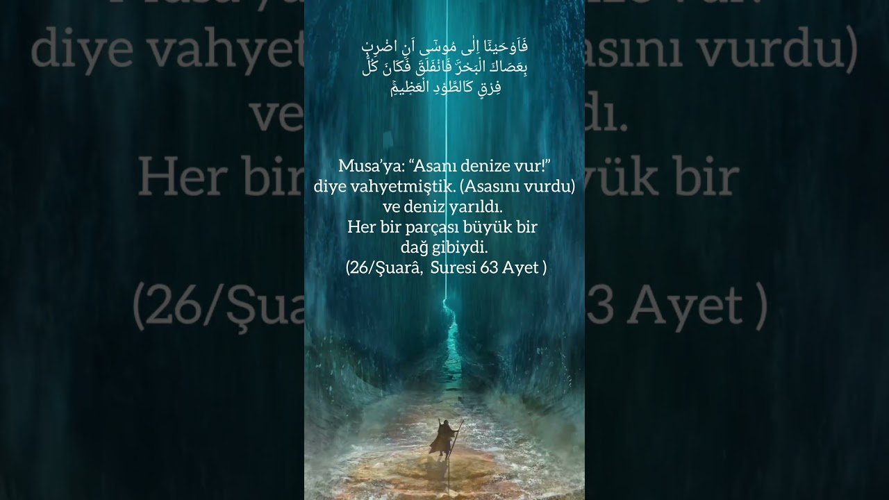 Asanı Denize Vur ! #hzmusa #deniz #kuran #ayet #kissa #g&uuml;ncel #bilgi #tevhidmeali #shorts