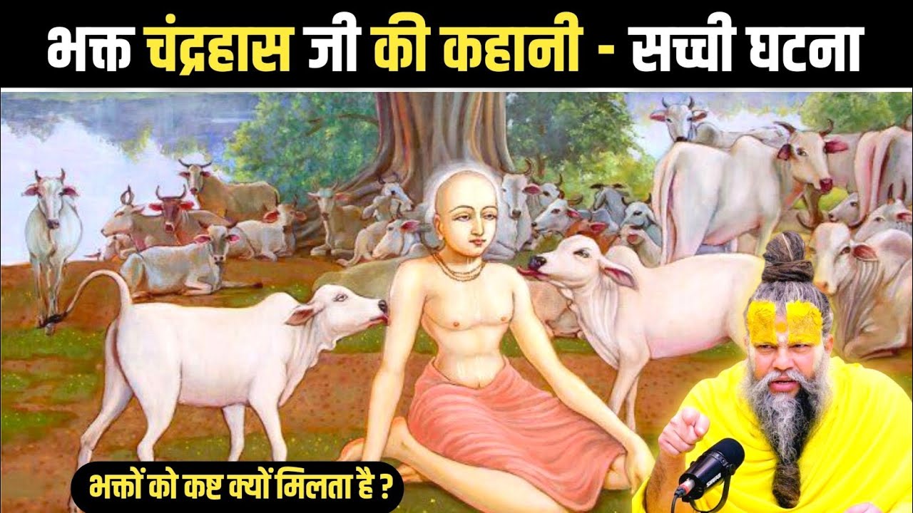 भक्त चंद्रहास जी की कहानी - सच्ची घटना | Shri Hit Premanand Ji Maharaj #premanandji