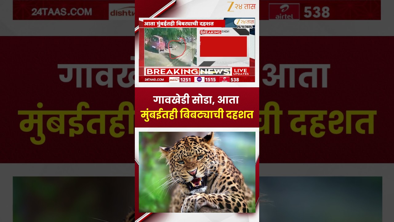 Mumbai Leopard |  गोरेगावमधील सोसायटीत बिबट्याचा वावर; सुनील प्रभूंचं वनमंत्र्यांना पत्र | Zee24Taas