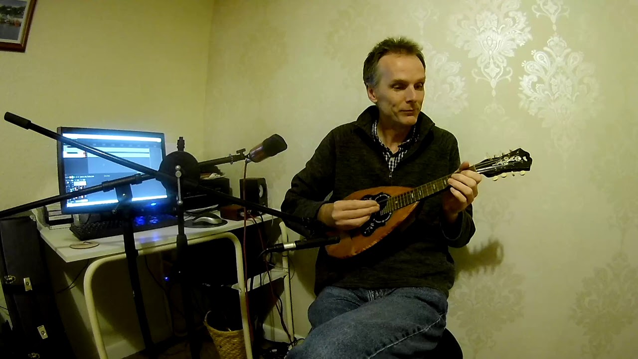 8 and 10 string ceccherini mandolins compared.